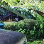 445356350_408918825451454_8486357321964915802_n