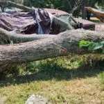 455246338_459699607040042_3057789399737265838_n