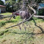 455322669_459699150373421_8874294394471955267_n