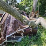 455908685_459699183706751_2578537636144333665_n