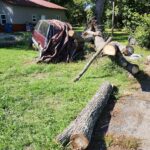 462007069_494889306854405_3056940449728619240_n