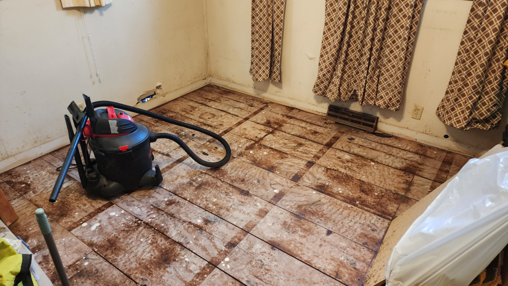 Picture after pulling up old floor. Down to the old actual subfloor.